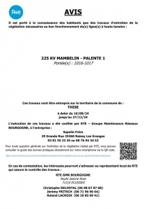 Travaux élagage et abattage d\'arbres sur la commune